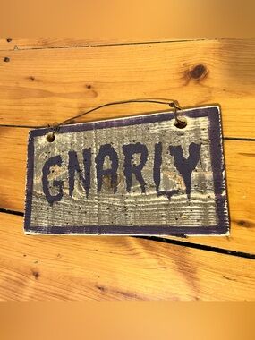 Brandy Melville Purple and Gray 'GNARLY' Wood Wall Sign